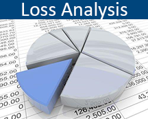 Loss Analysis